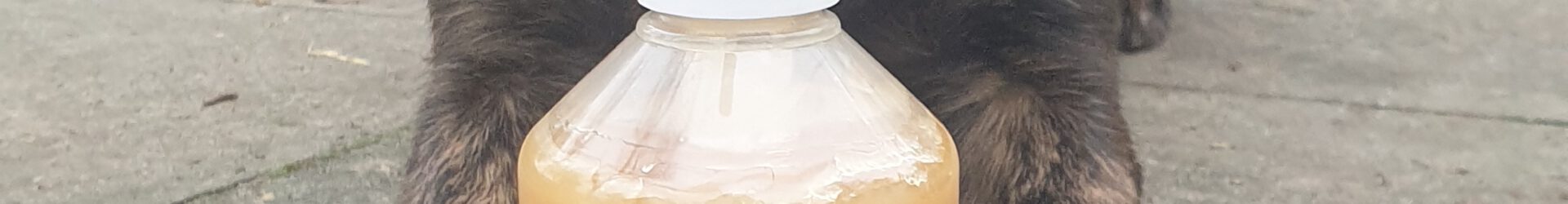 Sensi Pro zalmolie/Schapenvet 500 ml.