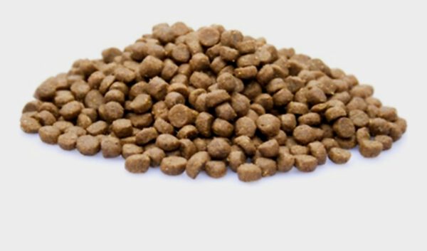 Sensi Pro Senior Kat 2 kg