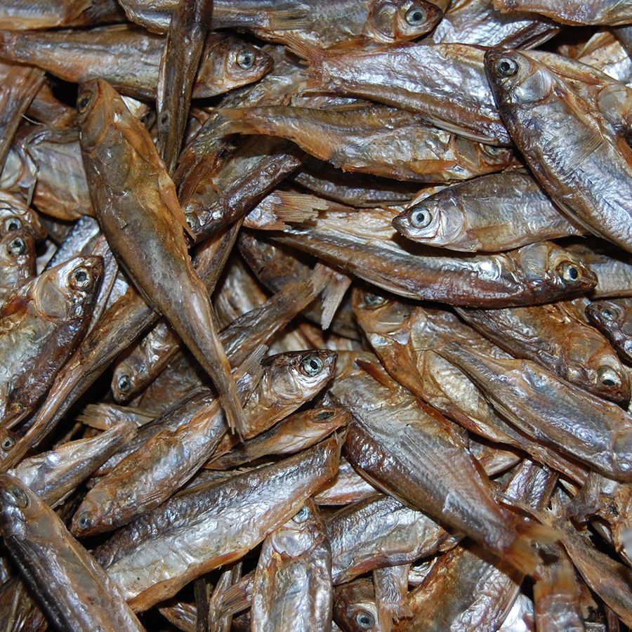 Gedroogde Visjes Voor Hond En Kat 1,2 ltr - Afbeelding 2